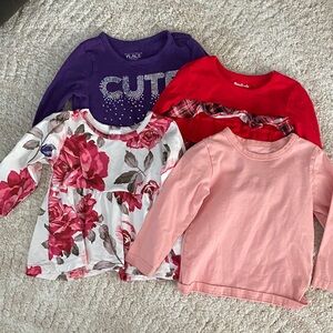 Girls' Floral and Solid Long Sleeve Tops Set